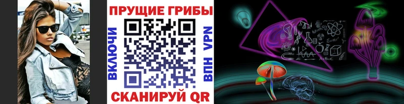 Купить закладки  Калязин  Галлюциногенные грибы MAGIC MUSHROOMS 